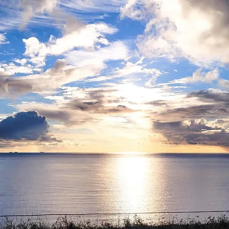 Apartment 1 Bedroom In *